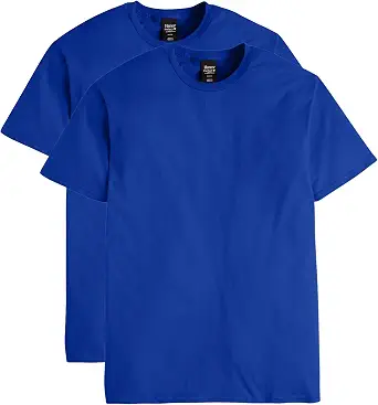 Hanes Men's Nano Premium Cotton T-Shirt (Pack of 2), Deep Royal, Small