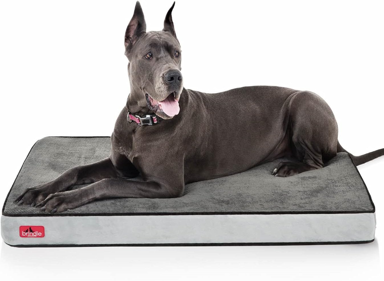 BRINDLE Waterproof Memory Foam Pet Bed - Removable and Washable Cover - 4 Inch Orthopedic Dog and Cat Bed - Fits Most Crates