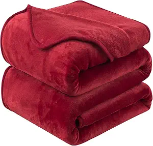 Flannel Fleece Queen Size Summer Blanket All Season 350GSM Lightweight Throw for The Bed Extra Soft Brush Fabric Winter Warm Sofa Blanket 90" x 90"(Burgundy Red Queen)