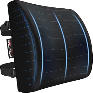 FORTEM Lumbar Support Office Chair, Lumbar Support Pillow for Car, Office Chair Back Support, Lumbar Pillow for Desk Chair, Memory Foam Back Cushion, Washable Cover (Velour, Black)