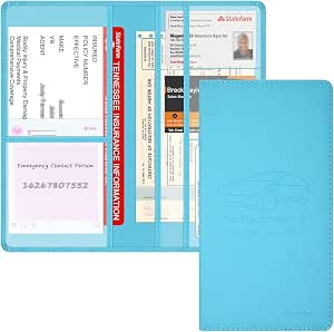 Techion Car Insurance and Registration Holder, 9.5 x 5 Inch PU Leather Vehicle Glove Box Organizer Wallet Case for Insurance Card, Driver License, Paperwork - Mint Green
